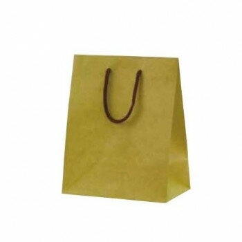 カラークラフト手提袋 T-2 抹茶 1055 10枚 【北海道・沖縄・離島配送不可】