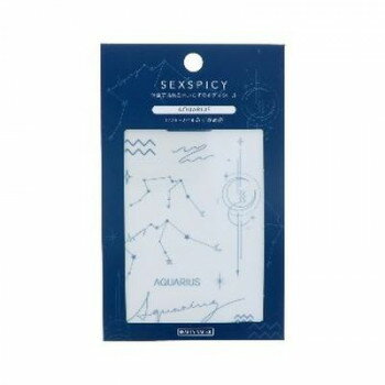 BEAUTY NAILER ボディシール SEXPICY セクスパイシーAQUARIUS みずがめ座 SST-23 【北海道・沖縄・離島配送不可】