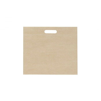 クラフト保冷バッグ 10枚 XZL90730 【北海道・沖縄・離島配送不可】