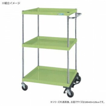 サカエ CSパールワゴン中量タイプ フットブレーキ付 グリーン CSP-10123BRSE 【北海道・沖縄・離島配送不可】