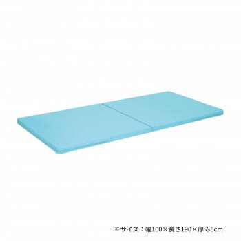 Mattress - 高田ベッド製作所 二つ折れ訓練マット 幅100×長さ190×厚み5cm スカイブルー TB-474 【北海道・沖縄・離島配送不可】