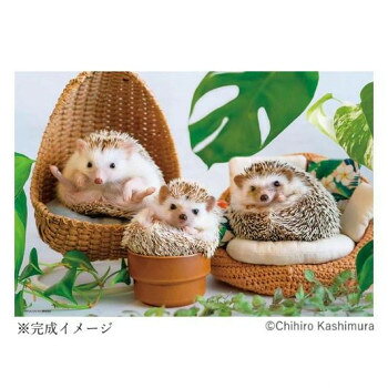 3匹のハリネズミが小さな椅子に座っているかわいらしい写真のジグソーパズルです。サイズ：38×26cm(完成時)個装サイズ：14×17×5cm重量：個装重量：265g仕様：ピース数:300ピース生産国：日本