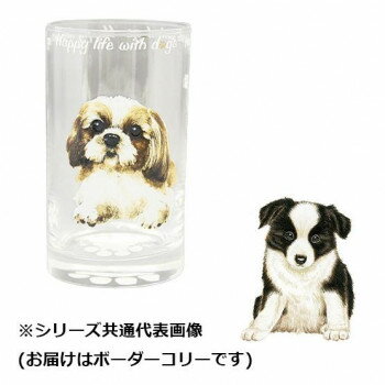 定番グラス!使いやすいサイズなの普段使いにピッタリです。ご自分用、プレゼントにもおすすめのグラスです。サイズ：口径6.0cm、高さ11.0cm個装サイズ：7×7×12cm重量：約195g個装重量：218g素材・材質：ガラス仕様：食洗機・電子レンジ:非対応商品容量:230cc生産国：日本