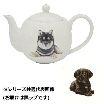 緑茶も紅茶もOK。ステンレス茶こし付のポットです。ご自分用、プレゼントにもおすすめのかわいい丸型ポットです。サイズ：縦11.0cm、横19.5cm、高さ11.5cm個装サイズ：14×17×12cm重量：約353g個装重量：439g素材・材質：陶器仕様：食洗機:対応電子レンジ:非対応商品容量:550cc生産国：日本