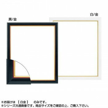 大額 5600 デッサン額 四ツ切 白金 【北海道・沖縄・離島配送不可】
