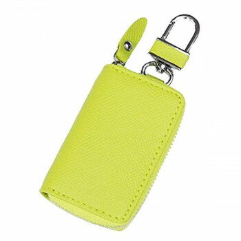 AWESOME(オーサム)　スマートキーケース　マルチカラータイプ　ライム　ASK-007 【北海道・沖縄・離島配送不可】(4)