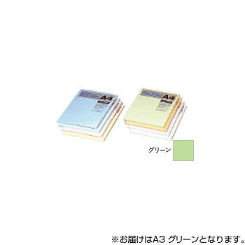 オストリッチダイヤ ニューファインカラーPPC用紙 A3 グリーン 500枚入 FGR5-A3 【北海道・沖縄・離島配送不可】