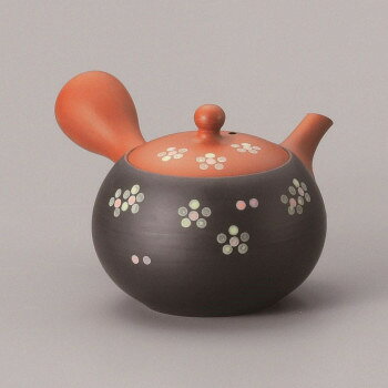 1人分のお茶を淹れるのに最適な、小ぶりの急須です。お茶をより一層美味しく感じられること間違いなし。サイズ：個装サイズ：15.0×16.0×15.0cm重量：個装重量：500g仕様：容量:210cc網:セラメッシュ生産国：日本