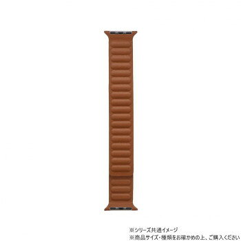 Apple Watch バンド CORVIN レザー風マグネットバンド ブラウン LN-AW49B21BR