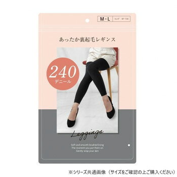 グローバル・ジャパン あったか裏起毛レギンス 240デニール L-LL ブラック