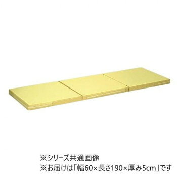 高田ベッド製作所 ポータルマット(三つ折り式ポータブルマット) 幅60×長さ190×厚み5cm アイボリー(バッグ/ブルー) TB-475 【北海道・沖縄・離島配送不可】