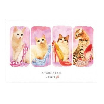 とことこサーカス ポストカード 猫/ネコ 「SYARENEKO×PUMPS」 5枚セット ST-PC-030 