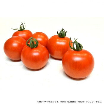 ＜＜ご注意下さい＞＞こちらの商品はメーカーよりお客様へ直接お届けの品になります。 当店での在庫はしておりません。在庫の有無はメーカー在庫のみになりますので、急な欠品や急に廃盤になる可能性がございます。こちらの商品の配送について○北海道・沖縄・離島につきましては、配送不可となりますので予めご了承お願いします。こちらの商品の包装(ラッピング)について○上記の理由(メーカーより直送)により包装はできませんので予めご了承お願いします。こちらの商品の不具合について○お届けしましたこちらの商品に不具合があった場合、商品到着日より1週間以内に当店にご連絡ください。メーカーが直接対応させて頂きます。○お客様がご自身で修理された場合、費用の負担は致しかねますので予めご了承下さい。果重50〜60g程度の中玉トマトです。糖度が7〜8度と高く、甘みと酸味のバランスがよいトマトです。果肉は肉厚で食べ応えがあり、輸送性も優れます。トマト黄化葉巻病や葉かび病(Cf9)、半身萎凋病(V)、青枯病、根腐萎凋病(J3)、タバコモザイクウイルス(Tm-2a)、ネコブセンチュウ、疫病の複合耐病性があり、栽培容易です。【栽培のポイント】・1本仕立てとし、脇芽はすべて取り除きます、・果実が小玉になる場合は1花房当たり6果前後に摘果してください。・追肥は1番果の色づきはじめに行い、その後は草勢を確認しながら適宜行ってください。【注意事項】※種子は播種後の栽培条件、天候事情により、その結果が異なる場合がございます。万が一、結果不良でも保証はできかねます。サイズ：個装サイズ：15×10×1cm重量：個装重量：30g仕様：内容量:小袋(9粒)生産国：韓国