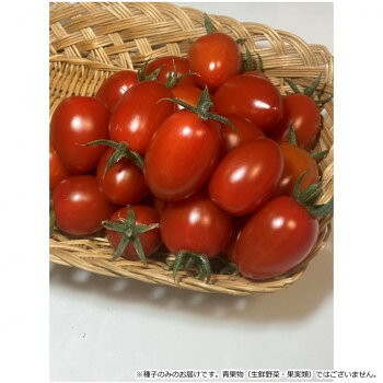 ＜＜ご注意下さい＞＞こちらの商品はメーカーよりお客様へ直接お届けの品になります。 当店での在庫はしておりません。在庫の有無はメーカー在庫のみになりますので、急な欠品や急に廃盤になる可能性がございます。こちらの商品の配送について○北海道・沖縄・離島につきましては、配送不可となりますので予めご了承お願いします。こちらの商品の包装(ラッピング)について○上記の理由(メーカーより直送)により包装はできませんので予めご了承お願いします。こちらの商品の不具合について○お届けしましたこちらの商品に不具合があった場合、商品到着日より1週間以内に当店にご連絡ください。メーカーが直接対応させて頂きます。○お客様がご自身で修理された場合、費用の負担は致しかねますので予めご了承下さい。果重20g程度のプラム型ミニトマト品種です。糖度11度前後と非常に高く、酸味は少なく、果皮も薄く食味良好です。早生品種で、1花房当たり20果前後着果し、収量性も抜群です。黄化葉巻病(TY-1、3)や黄化えそ病、タバコモザイクウィルス、疫病に対し複合耐病性を持っており、果形が乱れにくく、裂果しにくい為、作りやすいです。【栽培のポイント】・定植は第1花房開花時に行い、1番果を必ず着果させる。・追肥は1番果の色付き始めに行い、その後は草勢を確認しながら適宜施用する。・摘果は基本的に行う必要はないが、果実が小玉になる場合は1花房当たり15果前後に摘果し、追肥を行う【注意事項】※種子は播種後の栽培条件、天候事情により、その結果が異なる場合がございます。万が一、結果不良でも保証はできかねます。サイズ：個装サイズ：15×10×1cm重量：個装重量：30g仕様：内容量:小袋(7粒)生産国：韓国