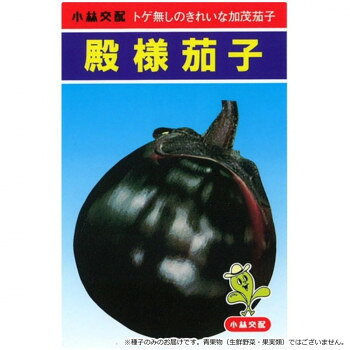 ＜＜ご注意下さい＞＞こちらの商品はメーカーよりお客様へ直接お届けの品になります。 当店での在庫はしておりません。在庫の有無はメーカー在庫のみになりますので、急な欠品や急に廃盤になる可能性がございます。こちらの商品の配送について○北海道・沖縄・離島につきましては、配送不可となりますので予めご了承お願いします。こちらの商品の包装(ラッピング)について○上記の理由(メーカーより直送)により包装はできませんので予めご了承お願いします。こちらの商品の不具合について○お届けしましたこちらの商品に不具合があった場合、商品到着日より1週間以内に当店にご連絡ください。メーカーが直接対応させて頂きます。○お客様がご自身で修理された場合、費用の負担は致しかねますので予めご了承下さい。果実は極早生、大果、光沢ある黒紫色で、果皮表面の凹凸が少ないのが特徴です。果形は、正円形で果梗も太く、花落は小さくきれいです。収量が多く、収穫は果実の直径が6〜10cm位までと用途に応じて幅広く収穫できます。草姿は、中葉、中茎で、2〜4本仕立てが良く、多収となります。ヘタは薄紫色、先端は反転し、他の加茂茄子と違いヘタのトゲが非常に少ないのが特徴で、収穫作業がしやすい。調理の際にも扱いやすいです。小ナスで収穫すれば、漬物や天ぷらが、大ナスなら煮物や焼ナス・炒め物、特に田楽・風呂吹きあえに最適です。他のレシピとしてははステーキ、グラタン、揚げ出しがお勧めです。【栽培のポイント】・潅水量は通常のものより多く施し、定期的に追肥を行う。・誘引を必要とする。・砂質土から粘質土まで、加温半促成栽培から露地栽培までと、土質や作期の適応性が広い。・自根でも十分ですが、接ぎ木する場合の台木は、赤茄子やトルバムまたは、通常使用しているどんな台木でも使用できます。【注意事項】※種子は播種後の栽培条件、天候事情により、その結果が異なる場合がございます。万が一、結果不良でも保証はできかねます。サイズ：個装サイズ：15×10×1cm重量：個装重量：30g仕様：内容量:小袋(0.5ml)生産国：タイ