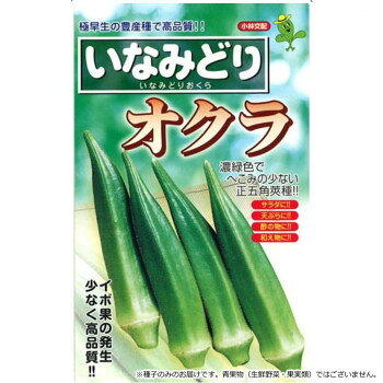 ＜＜ご注意下さい＞＞こちらの商品はメーカーよりお客様へ直接お届けの品になります。 当店での在庫はしておりません。在庫の有無はメーカー在庫のみになりますので、急な欠品や急に廃盤になる可能性がございます。こちらの商品の配送について○北海道・沖縄・離島につきましては、配送不可となりますので予めご了承お願いします。こちらの商品の包装(ラッピング)について○上記の理由(メーカーより直送)により包装はできませんので予めご了承お願いします。こちらの商品の不具合について○お届けしましたこちらの商品に不具合があった場合、商品到着日より1週間以内に当店にご連絡ください。メーカーが直接対応させて頂きます。○お客様がご自身で修理された場合、費用の負担は致しかねますので予めご了承下さい。果実の色は濃緑色で、陵角がはっきりしており、へこみの少ない正五角莢種です。収穫期までの成長期間が短い極早生種で、なお且つ、とても多く収量が期待できる豊産種でもあります。曲がり果、イボ果の変形果が少なく、またアントシアンの発生も少ないので高品質の成果が収穫できるのがセールスポイントです。草丈は中位で、葉は切込みの深いモミジ葉です。光の透過率も良好です。【栽培のポイント】・オクラはネコブセンチュウに弱いので、土壌消毒又は輪作等で防除してください・カメムシ等害虫の発生は果実の品質を落とすので注意してください。・オクラは吸肥力が強いので樹勢をよく観察し適宜追肥してください。【注意事項】※種子は播種後の栽培条件、天候事情により、その結果が異なる場合がございます。万が一、結果不良でも保証はできかねます。サイズ：個装サイズ：20×20×15cm重量：個装重量：200g仕様：内容量:1L生産国：台湾