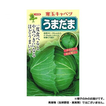 ＜＜ご注意下さい＞＞こちらの商品はメーカーよりお客様へ直接お届けの品になります。 当店での在庫はしておりません。在庫の有無はメーカー在庫のみになりますので、急な欠品や急に廃盤になる可能性がございます。こちらの商品の配送について○北海道・沖縄・離島につきましては、配送不可となりますので予めご了承お願いします。こちらの商品の包装(ラッピング)について○上記の理由(メーカーより直送)により包装はできませんので予めご了承お願いします。こちらの商品の不具合について○お届けしましたこちらの商品に不具合があった場合、商品到着日より1週間以内に当店にご連絡ください。メーカーが直接対応させて頂きます。○お客様がご自身で修理された場合、費用の負担は致しかねますので予めご了承下さい。耐寒性、低温結球性に優れた寒玉種になります。耐病性、特に黒腐病、芯腐病、菌核病に強く、裂球殆どなく在圃性良く、土壌適応性が広いのが特長です。球は甲高扁円で1.5kg位で良く揃い、鮮やかな光沢のある濃緑色で、艶があり尻部まで緑色を呈します。低温期でもアントシアンの発生なく、市場性も抜群で、食味良好です。一般地暖地の7月下旬〜8月中下旬蒔き、1月〜4月上旬穫りに適します。レシピとしては、煮崩れしないので、ロールキャベツのような煮ものに向きます。また、炒め物にも向きます。【栽培のポイント】・育苗に注意し、健全な揃った苗を定植します。・日本海側、中間地における栽培では8月10日頃までに播種し12月中旬〜1月に結球させ、2月〜3月出荷を目標にします。・耐寒性、低温期の肥大性に優れているので暖地の4月穫りも可能です。・結球前に追肥を施し在圃性を強めます。【注意事項】※種子は播種後の栽培条件、天候事情により、その結果が異なる場合がございます。万が一、結果不良でも保証はできかねます。サイズ：個装サイズ：30×20×20cm重量：個装重量：1000g仕様：内容量:2000粒生産国：日本