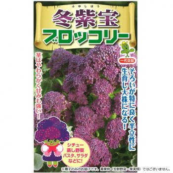 ＜＜ご注意下さい＞＞こちらの商品はメーカーよりお客様へ直接お届けの品になります。 当店での在庫はしておりません。在庫の有無はメーカー在庫のみになりますので、急な欠品や急に廃盤になる可能性がございます。こちらの商品の配送について○北海道・沖縄・離島につきましては、配送不可となりますので予めご了承お願いします。こちらの商品の包装(ラッピング)について○上記の理由(メーカーより直送)により包装はできませんので予めご了承お願いします。こちらの商品の不具合について○お届けしましたこちらの商品に不具合があった場合、商品到着日より1週間以内に当店にご連絡ください。メーカーが直接対応させて頂きます。○お客様がご自身で修理された場合、費用の負担は致しかねますので予めご了承下さい。ケールに似た葉辺に欠刻のある外葉で、半立性に生育し大株になる。夏なき種で、晩生なので3月頃から多く分枝した先にブロッコリーができる。一度目の収穫を終えた後に追肥して花蕾の再生を促すと4月いっぱいまで三度ほどとれる。茹でると、緑色に近い色に変化する。茎はやわらかく甘みがあり、おいしいです。【栽培のポイント】・平坦地では7月10日〜25日播きして、できるだけ株間を広くとり、大株にしておくと、枝数が多く多収になる。・平坦地の8月上旬まきでは、株も大きくなりにくく、収穫もいっそう遅れ、収穫期間も短くなるので、早播きが好ましい。【注意事項】※種子は播種後の栽培条件、天候事情により、その結果が異なる場合がございます。万が一、結果不良でも保証はできかねます。サイズ：個装サイズ：15×10×1cm重量：個装重量：30g仕様：内容量:45粒生産国：アメリカ
