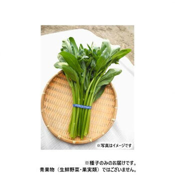 ＜＜ご注意下さい＞＞こちらの商品はメーカーよりお客様へ直接お届けの品になります。 当店での在庫はしておりません。在庫の有無はメーカー在庫のみになりますので、急な欠品や急に廃盤になる可能性がございます。こちらの商品の配送について○北海道・沖縄・離島につきましては、配送不可となりますので予めご了承お願いします。こちらの商品の包装(ラッピング)について○上記の理由(メーカーより直送)により包装はできませんので予めご了承お願いします。こちらの商品の不具合について○お届けしましたこちらの商品に不具合があった場合、商品到着日より1週間以内に当店にご連絡ください。メーカーが直接対応させて頂きます。○お客様がご自身で修理された場合、費用の負担は致しかねますので予めご了承下さい。アスパラッチェは、抽苔した茎葉と花芽を食べる「ナバナ」の改良種で、アスパラガスのような風味があり食味に優れます。中国野菜のサイシンと似ていますが、青臭さやクセが無く、日本人好みの食味となります。花茎は太く柔らかく、胡麻和え、炒め物、お浸しなど、様々な料理に利用できます。露地では3月から10月播き、ハウスでは周年栽培が可能で盛夏期出荷にも適します。適期播種後35日(夏場は25日)程度で収穫できます。※種子は播種後の栽培条件、天候事情により、その結果が異なる場合がございます。万が一、結果不良でも保証はできかねます。【栽培のポイント】・栽培方法は小松菜等、軟弱野菜栽培に準じます。・施肥量は10aあたり、苦土石灰100kg、完熟堆肥2t、N:P:Kを成分量で各7〜8kg程度施します。・畝幅120cmの4条植え、株間4〜5cmで栽培します。過度な密植を避け、花茎を太く作ります。・花茎が伸びて開花する前が収穫適期です。開花後は品質が低下していきます。収穫適期が短いため、収穫遅れに注意します。・株元は繊維が多いため、株元より上の柔らかい部分を手折して収穫します。株元の硬い部分は曲げてもよくしなり、手折できません。手で簡単に折れるところから上の部分は繊維がなくて柔らかく美味しく食べられます。収穫物の長さは、30〜35cm程度になります。サイズ：個装サイズ：20×20×15cm重量：個装重量：200g生産国：デンマーク