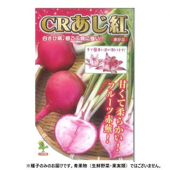 ＜＜ご注意下さい＞＞こちらの商品はメーカーよりお客様へ直接お届けの品になります。 当店での在庫はしておりません。在庫の有無はメーカー在庫のみになりますので、急な欠品や急に廃盤になる可能性がございます。こちらの商品の配送について○北海道・沖縄・離島につきましては、配送不可となりますので予めご了承お願いします。こちらの商品の包装(ラッピング)について○上記の理由(メーカーより直送)により包装はできませんので予めご了承お願いします。こちらの商品の不具合について○お届けしましたこちらの商品に不具合があった場合、商品到着日より1週間以内に当店にご連絡ください。メーカーが直接対応させて頂きます。○お客様がご自身で修理された場合、費用の負担は致しかねますので予めご了承下さい。甘味の特に強い中かぶの内に若どりするのが良いが、長く畑においても、多汁質で、スいりはおそく、やわらかさは変わらない。秋まき50〜55日で根径8センチの中かぶとして収穫できる。以後、日をおくとさらに肥大し10〜12センチの中大かぶとなる。冷涼地では8月上旬〜下旬まき、9月下旬〜11月どりに適し、中間地、暖地では9月上旬〜下旬まき、10月中旬〜12月どりに適する。葉は長さ60センチに伸び、茎は淡い緑でうすく紅色が入り、根部外皮は赤く、内部は白地に少し紅がさす。※種子は播種後の栽培条件、天候事情により、その結果が異なる場合がございます。万が一、結果不良でも保証はできかねます。【栽培のポイント】・肥料は10アール当たりN、P、K各15キロ前後を全量元肥もしくは元肥と追肥にわけて施与する。各地の土壌条件により成分比、成分量は加減する。ホウソ欠予防のため、F.T.Eなどのホウソ入り資材の適量使用が望ましい。・播種適期より無理な早まきは、葉ばかりできすぎて根が太らず赤色の着色がうすくなりやすい。また葉がちぢむバイラス病にかかりやすい。適期よりおそくたね蒔きすると生育がにぶく十分に根が太らない。・土壌の乾きすぎ、特に生育初期の乾燥は根先のとがりや根割れのもとになりやすい。ときどき水をやって極端な乾燥を避けるのがよい。・根こぶ病にはかなり強い方であるが、菌の種類によっては発病することもある。根こぶ病の発生しやすい田畑では暑い時期の早まきは避け、充分涼しくなった頃にたねまきするとよい。サイズ：個装サイズ：20×20×2cm重量：個装重量：20g仕様：内容量:20ml生産国：日本