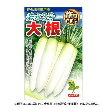 ＜＜ご注意下さい＞＞こちらの商品はメーカーよりお客様へ直接お届けの品になります。 当店での在庫はしておりません。在庫の有無はメーカー在庫のみになりますので、急な欠品や急に廃盤になる可能性がございます。こちらの商品の配送について○北海道・沖縄・離島につきましては、配送不可となりますので予めご了承お願いします。こちらの商品の包装(ラッピング)について○上記の理由(メーカーより直送)により包装はできませんので予めご了承お願いします。こちらの商品の不具合について○お届けしましたこちらの商品に不具合があった場合、商品到着日より1週間以内に当店にご連絡ください。メーカーが直接対応させて頂きます。○お客様がご自身で修理された場合、費用の負担は致しかねますので予めご了承下さい。根部は肌の美しい青首総太り型になります。根長38cmでよく揃い、特にス入りは極めて遅く収穫期間が長いので、販売面でも有利に働きます。肉質も良く、煮物・漬物・サラダなどオールマイティに調理が可能です。※種子は播種後の栽培条件、天候事情により、その結果が異なる場合がございます。万が一、結果不良でも保証はできかねます。【栽培のポイント】・春蒔きではハウス・トンネル栽培を基本とします。・春蒔きの播種は地温15度を確保してください。(低温期はマルチやトンネルを使います。)・株間25cm、条間35cm、夏蒔きでは株間27cmとやや広く取ります。・葉勝ちな栽培では根が曲がりやすくなりますので、窒素過多とならないように気をつけてください。サイズ：個装サイズ：20×20×15cm重量：個装重量：200g生産国：アメリカ