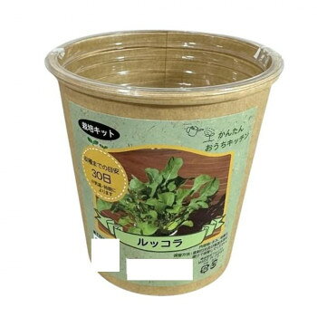 フォレスト かんたんおうちキッチン ルッコラ