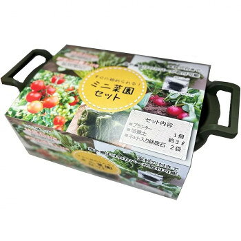フォレスト 菜園プランター ミニ菜園セット 【沖縄配送不可】