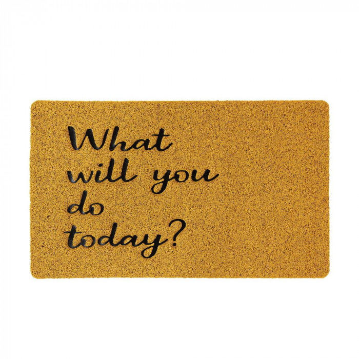 SOW ふかふかテラスマット What will you do today? 75×45cm CWLN2931SW 【北海道・沖縄・離島配送不可】