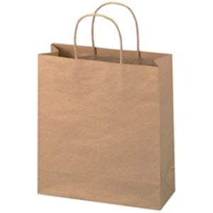 ジョインテックス 手提袋 丸紐 茶 小 300枚 B287J-B6【代引不可】【北海道・沖縄・離島配送不可】