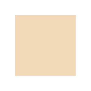 （業務用20セット）ジョインテックス 単色おりがみベージュ 100枚 B260J-35【代引不可】【北海道・沖縄・離島配送不可】