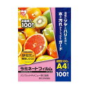 〔3セット〕 アイリスオーヤマ 帯電防止剤配合ラミネートフィルム 100ミクロン A4 LFT-A4100X3 【北海道・沖縄・離島配送不可】