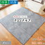 ラグ カーペット チェック 絨毯 約4.5畳 約261cm×261cm グレー 日本製 抗菌 防臭 ホットカーペット対応 オールシーズン チェックモア リビング