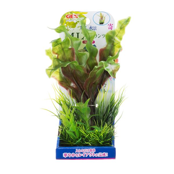 （まとめ）癒し水景 MIXプランツ Mアポノ〔×5セット〕 (観賞魚/水槽用品)