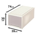 ビュートケース(押入れ収納/衣装ケース) 幅39cm×高さ30cm カプチーノ 日本製【代引不可】【北海道・沖縄・離島配送不可】