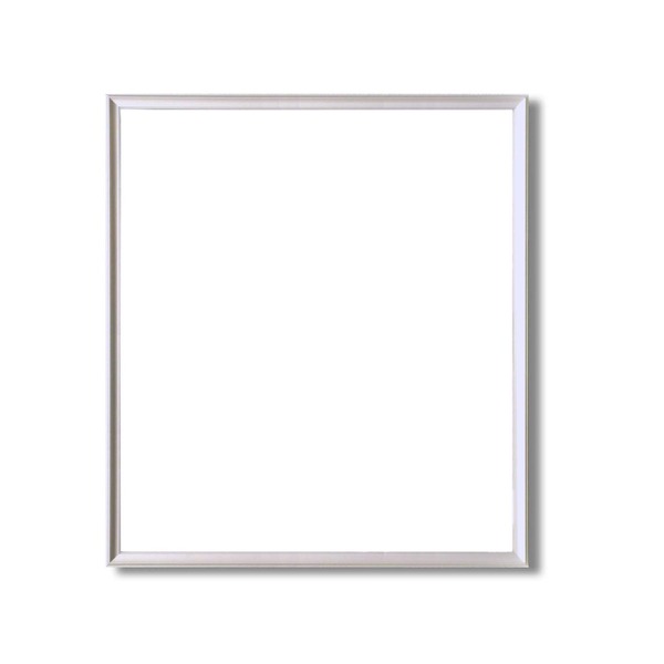 デッサン額縁/フレーム 〔三三サイズ 606×455mm〕 シルバー 壁掛けひも付き 化粧箱入り 5003【代引不可】【北海道・沖縄・離島配送不可】