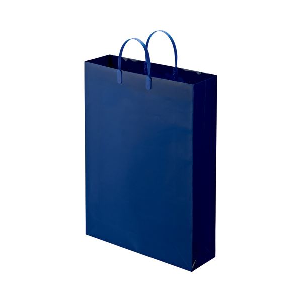 （まとめ） TANOSEE ラミネートバッグ 特大 ヨコ380×タテ510×マチ幅110mm 紺 1パック（10枚） 〔×2セット〕【代引不可】【北海道・沖縄・離島配送不可】