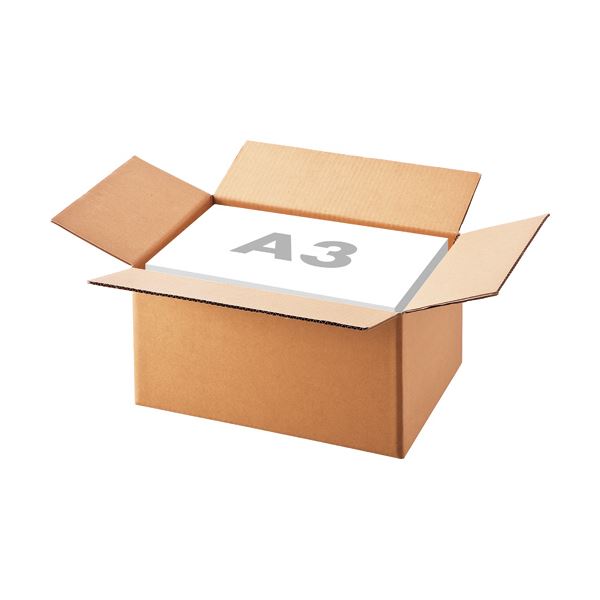 （まとめ）TANOSEE 無地ダンボール箱 A3（L）サイズ 軽量タイプ 高さ250mm 1パック（10枚） 〔×3セット〕 【北海道・沖縄・離島配送不可】