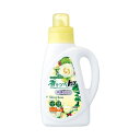 (まとめ)ライオン 香りつづくトップ 抗菌Plus シャイニーローズ 本体 850g 1本 〔×10セット〕 【北海道・沖縄・離島配送不可】