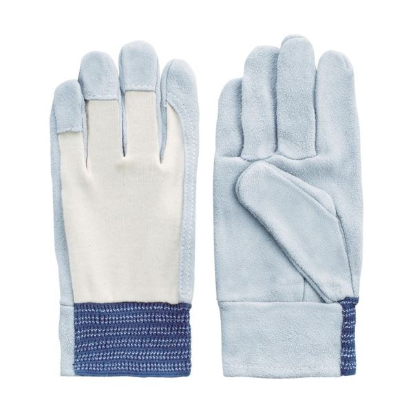 (まとめ) 富士グローブ EX-120 M 1227 1双 〔×10セット〕