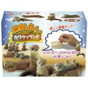 （まとめ）発掘名人（カワウソランド）〔×30セット〕【代引不可】【北海道・沖縄・離島配送不可】