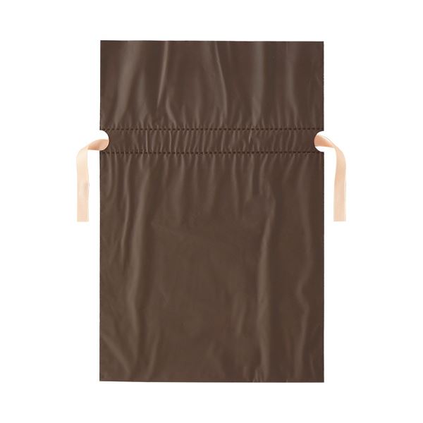 (まとめ)店研創意 ストア・エキスプレス 梨地リボン付ギフトバッグ ブラウン 24cm 1パック(20枚) 〔×5セット〕 【北海道・沖縄・離島配送不可】