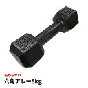 鉄アレー ダンベル 〔5kg×4本〕防滑 防傷 転がりにくい仕様 〔スポーツ用品 運動用品〕 【北海道・沖縄・離島配送不可】