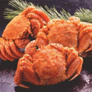 〔北海道産〕ボイル毛ガニ姿(約500g×3尾)【代引不可】【北海道・沖縄・離島配送不可】