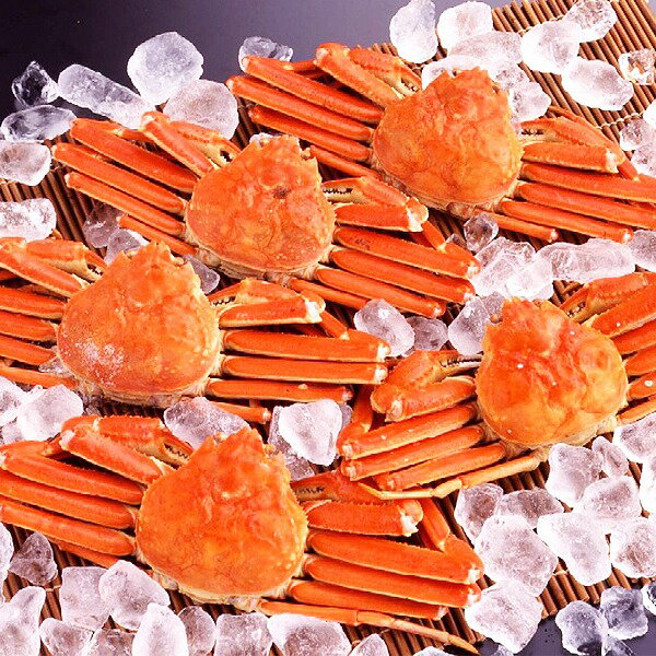 〔身入り抜群のA級品!〕カナダ産ボイルズワイガニ姿・約500g×5尾 冷凍ズワイ蟹