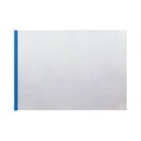 (まとめ) TANOSEE スライディングレールホルダー A3ヨコ 20枚収容 ブルー 1パック(10冊) 〔×10セット〕【代引不可】【北海道・沖縄・離島配送不可】