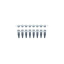PCR用8連チューブ(ドームキャップ) 0.2mL BRG-DC-01(120ストリップ) 【北海道・沖縄・離島配送不可】