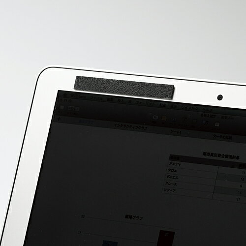 ���쥳�� �վ��ݸ�ե��륿�� �������ɻ� �ޥ��ͥåȥ����� 15.6������磻�� EF-PFM156W���̳�ƻ�����졦Υ�������Բġ�