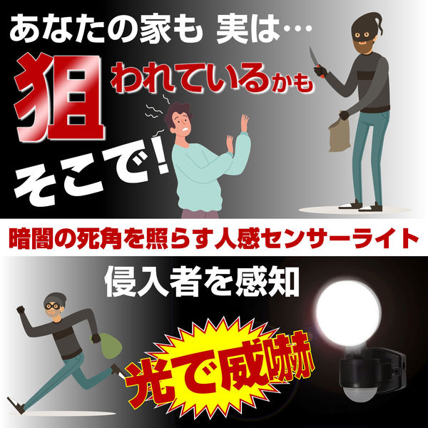 ELPA 防犯ライト ACコンセント式 1灯 400ルーメン ESL-SS411AC 【北海道・沖縄・離...