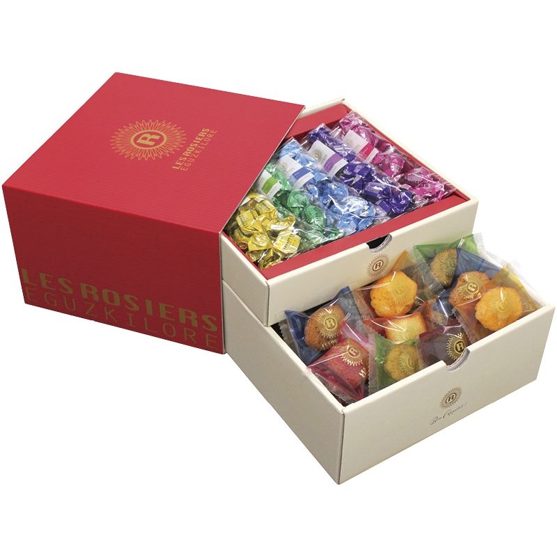 【お歳暮ギフト】銀座京橋 レ ロジェ エギュスキロール 銀座プチガトー&ショコラ 【申込締切12/12、お..