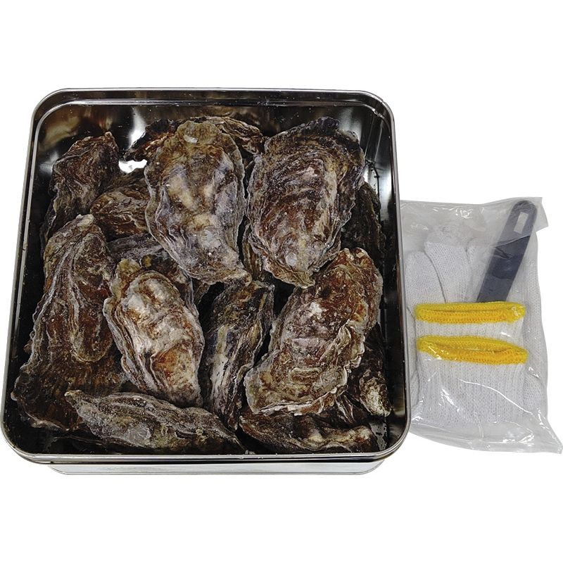 【お歳暮ギフト】広島県漁業協同組合連合会 広島牡蠣のカンカン焼き 【申込締切12/18、お届け期間11月末～12/26】 【北海道・沖縄・離島配送不可】